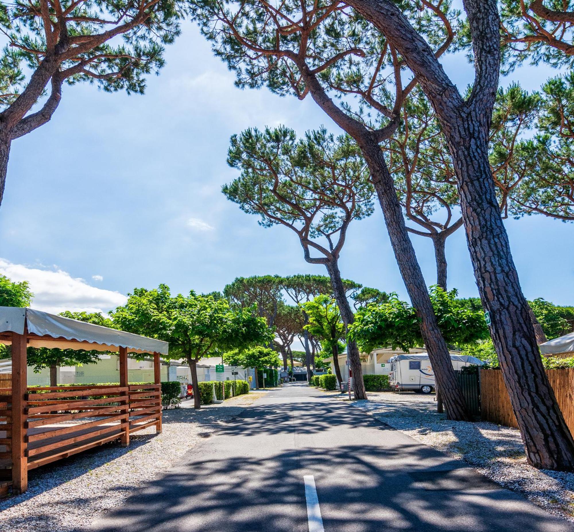 Camping Europa Campsite Marina di Massa